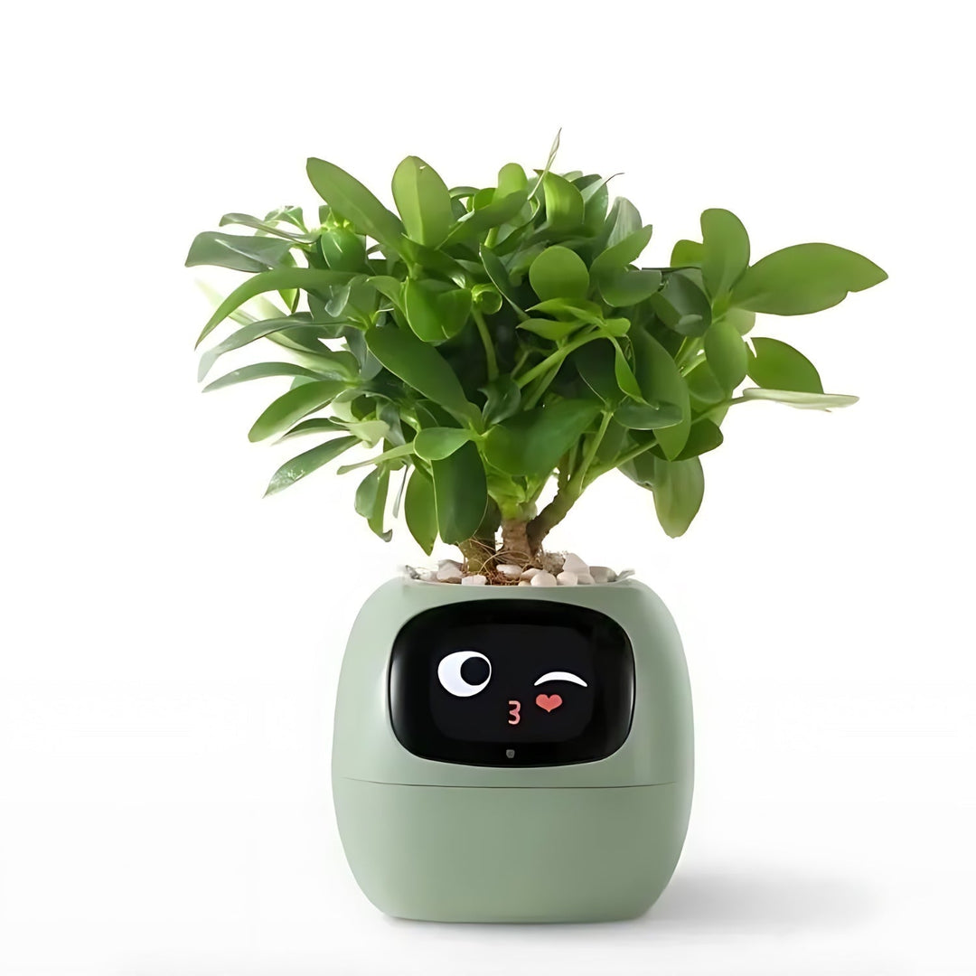 Automatic Smart Flowerpot - GreenBuddy SmartPot-Green-Nora Luxe