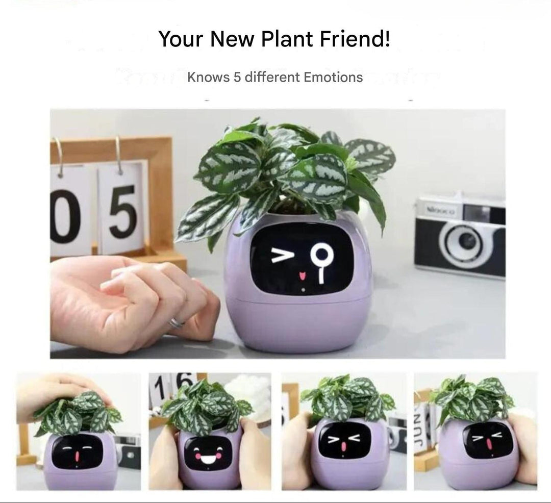 Automatic Smart Flowerpot - GreenBuddy SmartPot-Green-Nora Luxe