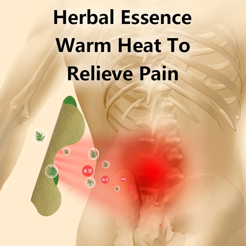 Back Pain Relief Kit - HerbalPatch-Kit for 30 days-Nora Luxe