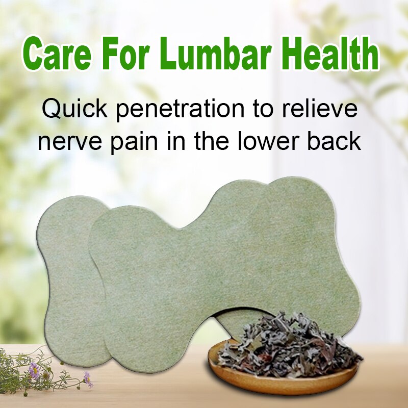 Back Pain Relief Kit - HerbalPatch-Kit for 30 days-Nora Luxe