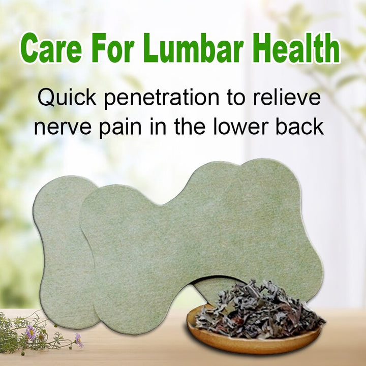 Back Pain Relief Kit - HerbalPatch-Kit for 30 days-Nora Luxe