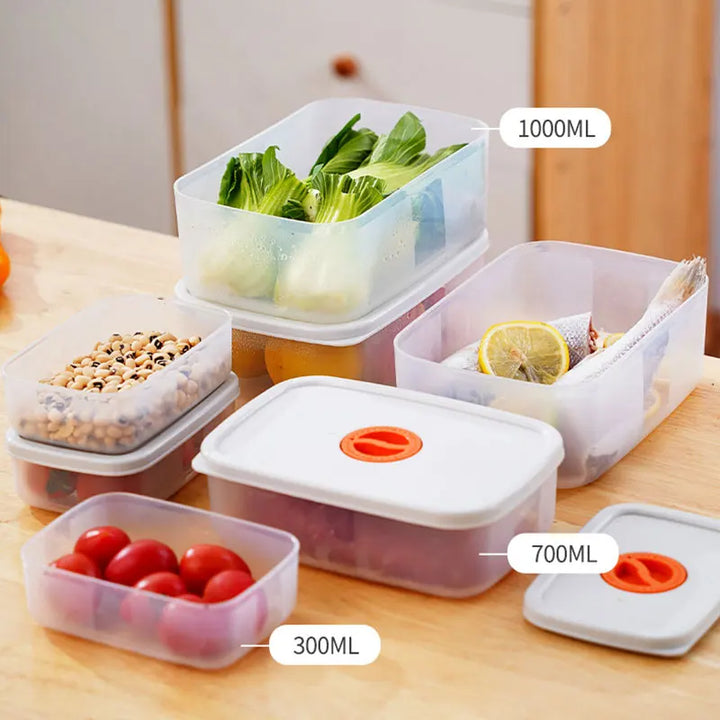 Bento Food Storage Containers - FreshKeeper-S-Nora Luxe