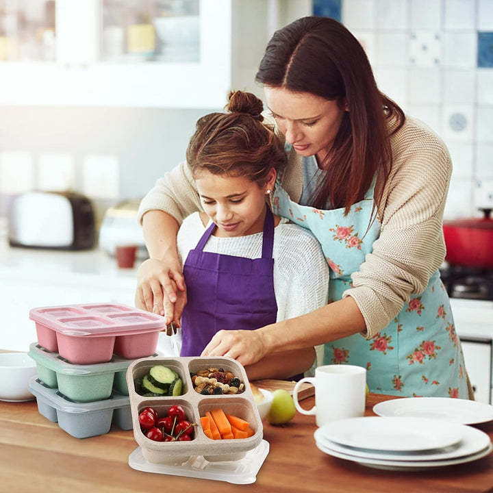 Bento-Style 4-Compartment Meal Prep Boxes (4-Pack) - Bento4You-Nora Luxe