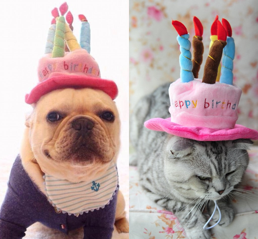 Birthday Hat for Dogs and Cats - PartyPaws-Blue-Nora Luxe