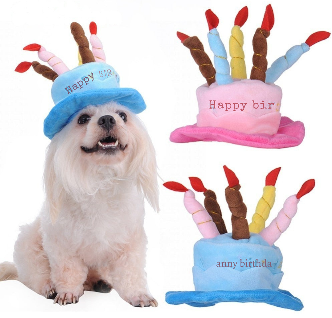 Birthday Hat for Dogs and Cats - PartyPaws-Blue-Nora Luxe