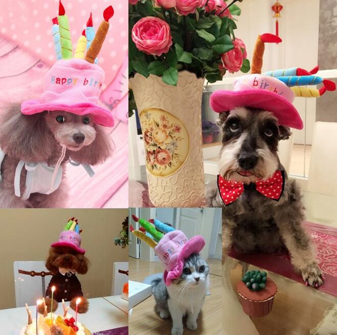 Birthday Hat for Dogs and Cats - PartyPaws-Blue-Nora Luxe