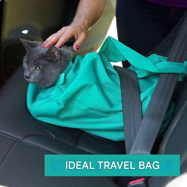 Cat Carrier for Comfortable Transport (Buy 1 Get 1 Free) - PurrPorter-Nora Luxe