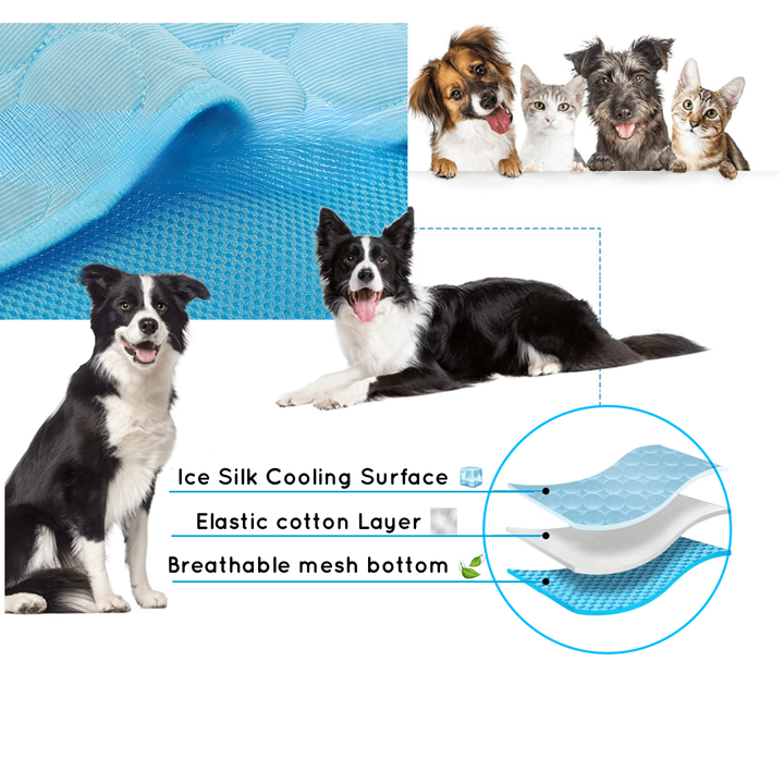 Cooling Dog Mat - CoolPet Mat-Blue-XS 15.75x11.81 inches-Nora Luxe