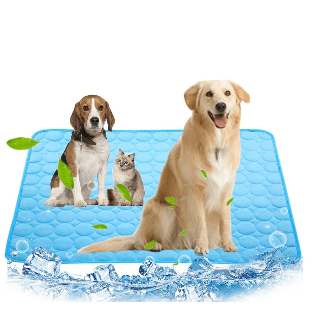 Cooling Dog Mat - CoolPet Mat-Blue-XS 15.75x11.81 inches-Nora Luxe
