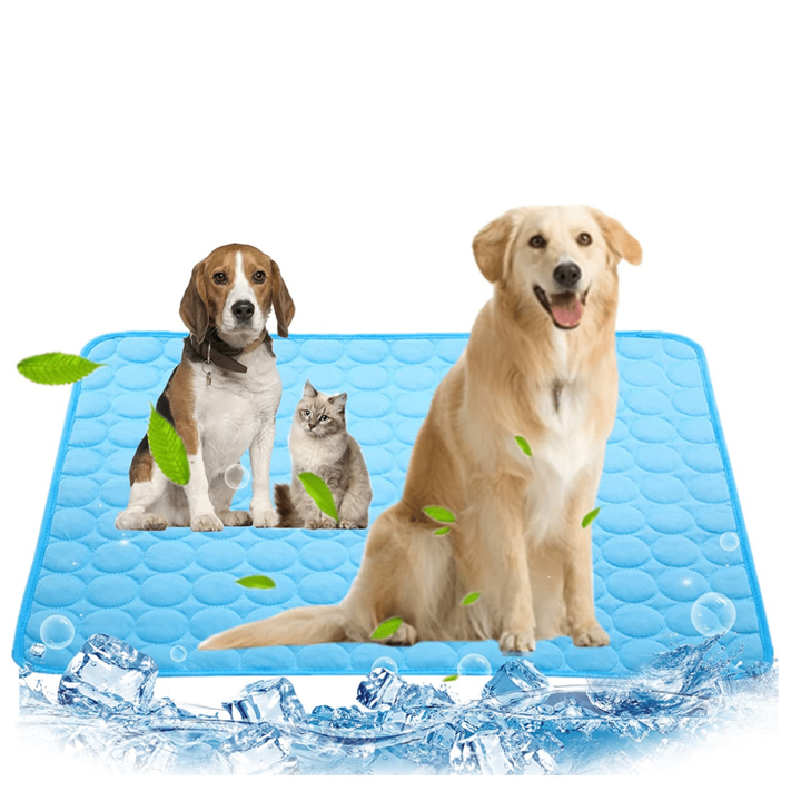Cooling Dog Mat - CoolPet Mat-Blue-XS 15.75x11.81 inches-Nora Luxe