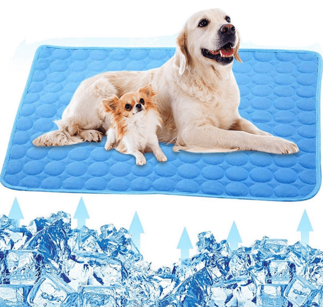 Cooling Dog Mat - CoolPet Mat-Blue-XS 15.75x11.81 inches-Nora Luxe