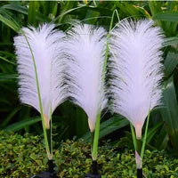 Decorative Wicker Garden Lighting - SunReed-Nora Luxe