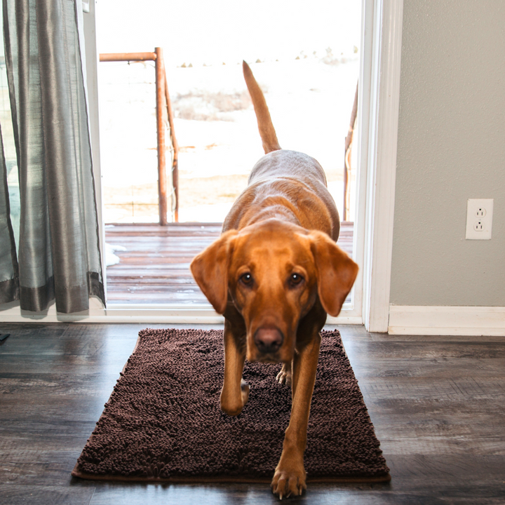Dog Entrance Mat - Boris-Brown-S-Nora Luxe