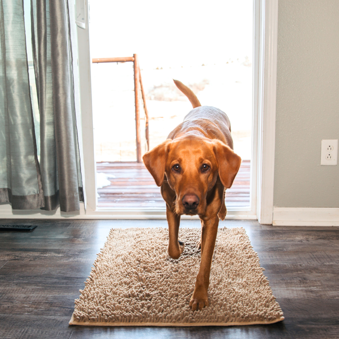Dog Entrance Mat - Boris-Cream-S-Nora Luxe