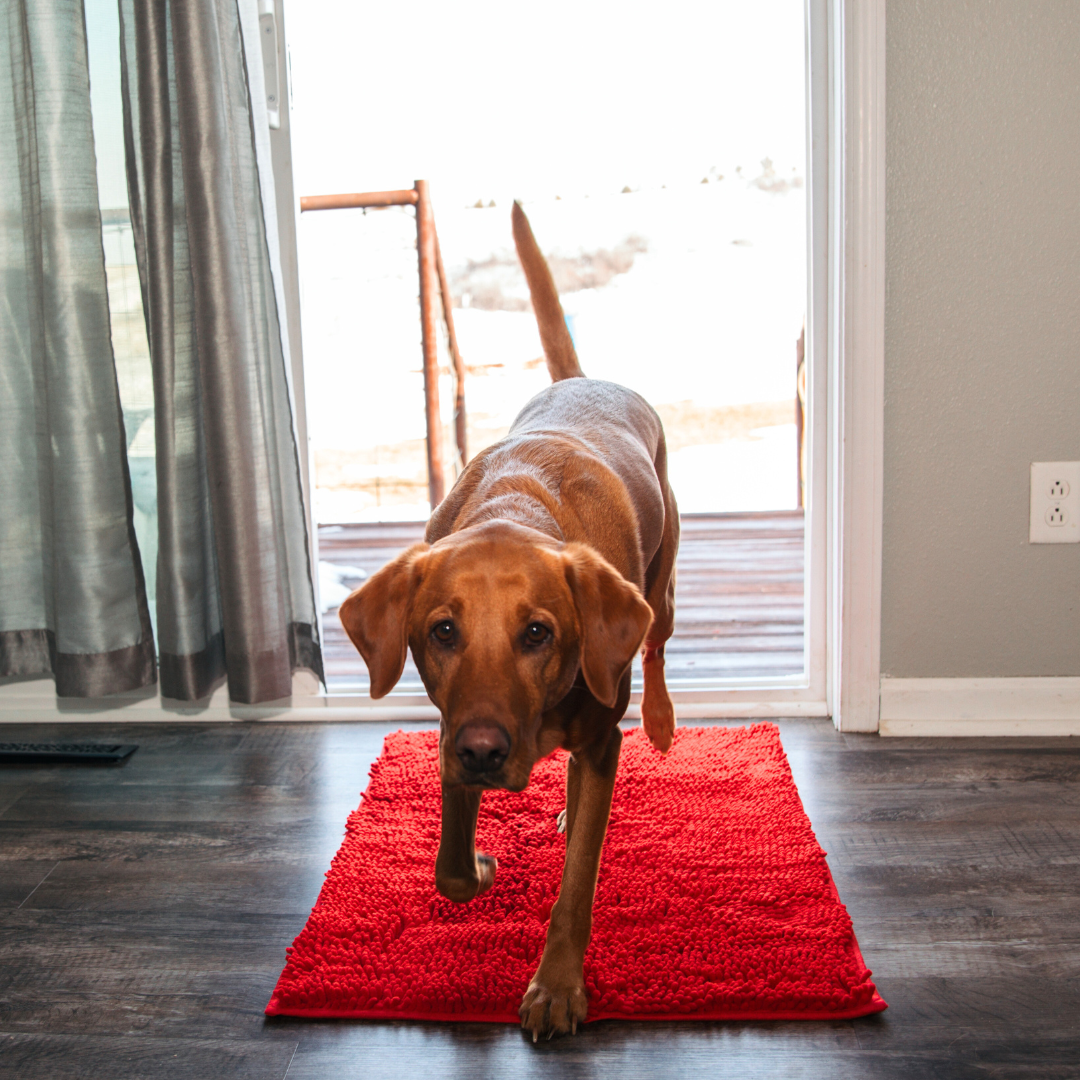 Dog Entrance Mat - Boris-Red-S-Nora Luxe