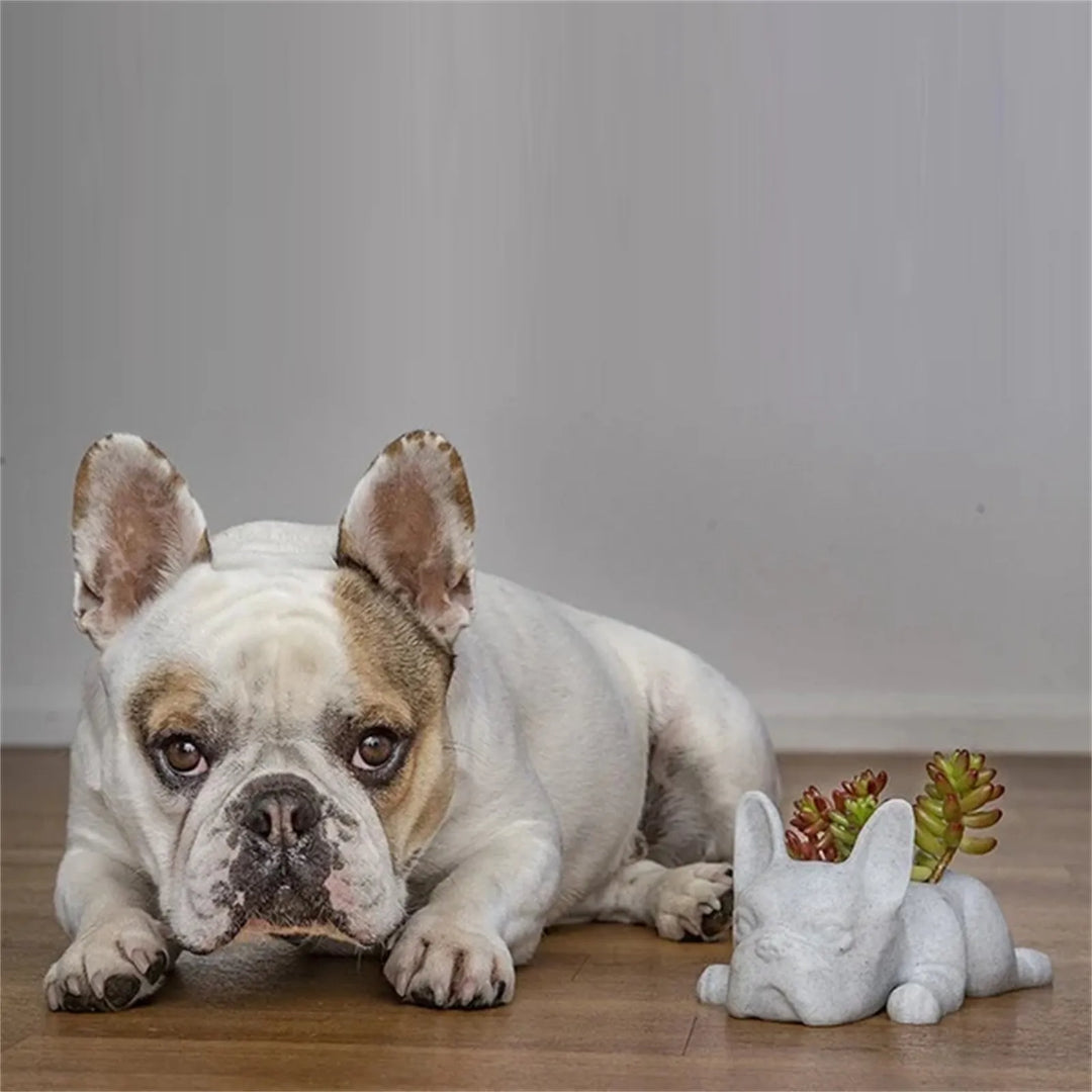 Dog Resin Succulent Planter - Buddy-Nora Luxe