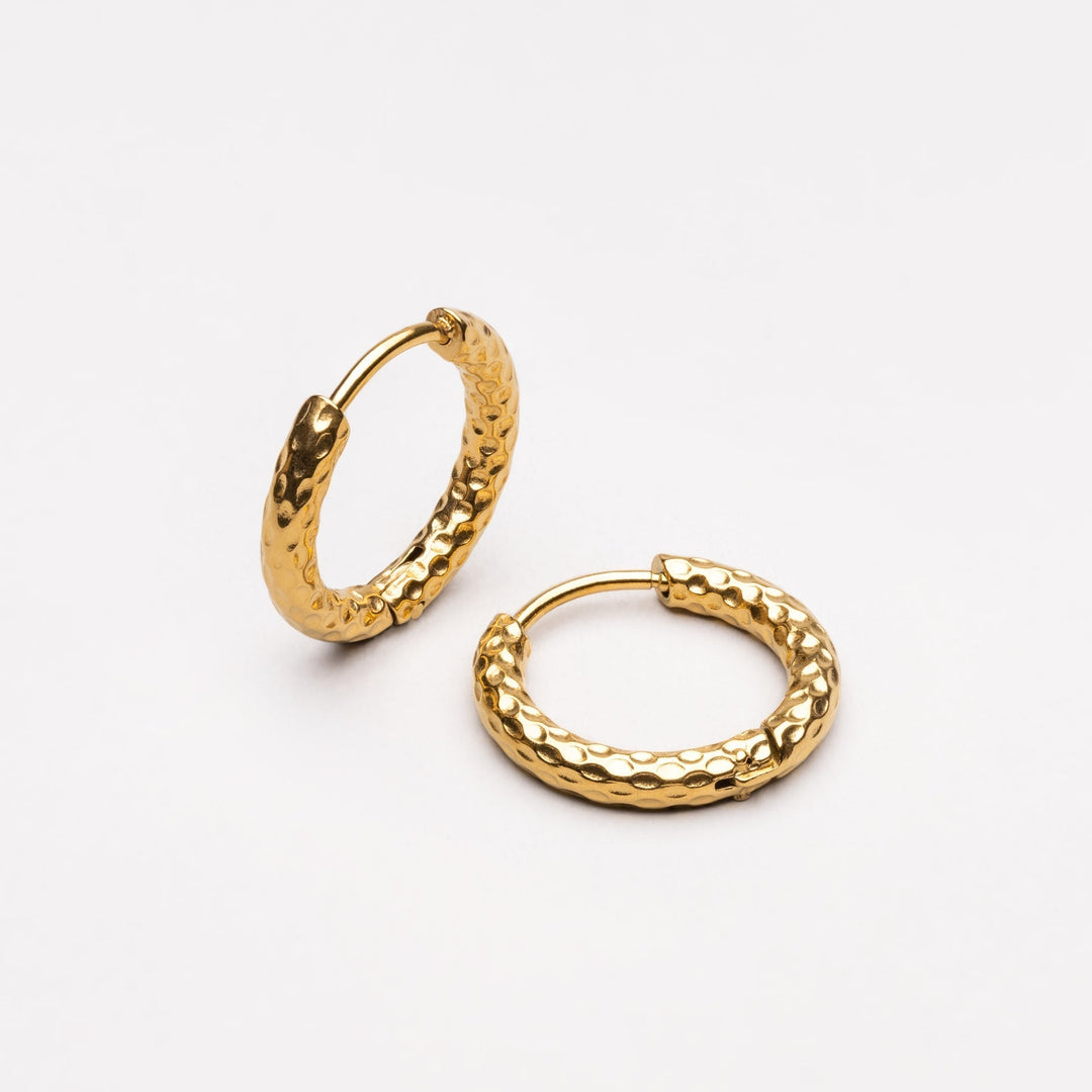 Hammered Earrings - Livia-Nora Luxe