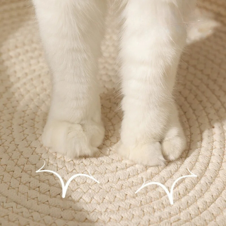 Handwoven Cotton Rope Bed for Cats - CozyNest-Gray-S-Nora Luxe