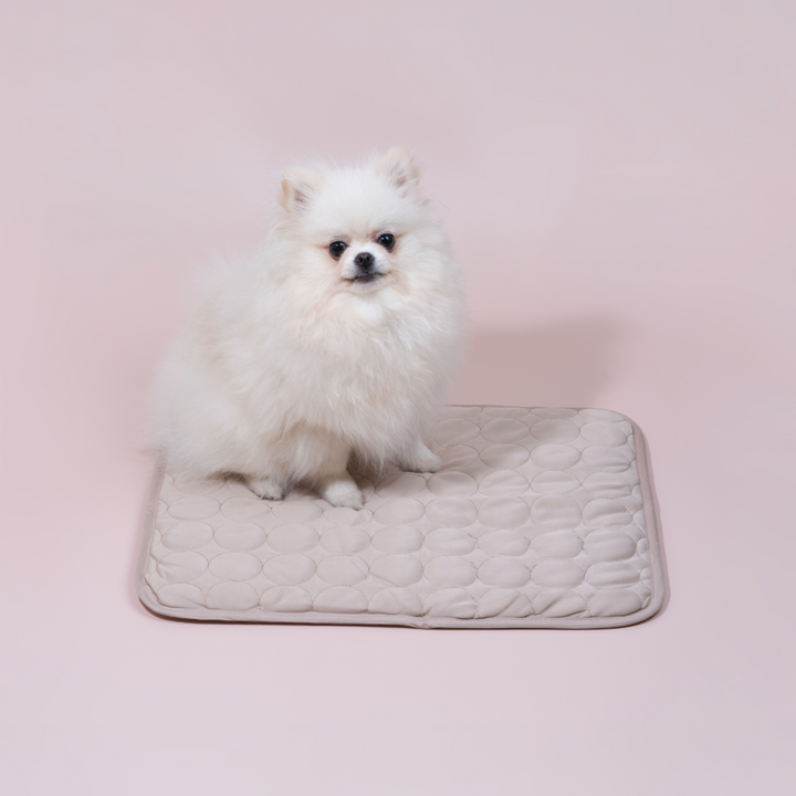 Innovative Cooling Mat for Dogs (4x Cooling Power) - ChillComfort-Beige/Brown-XS-Nora Luxe