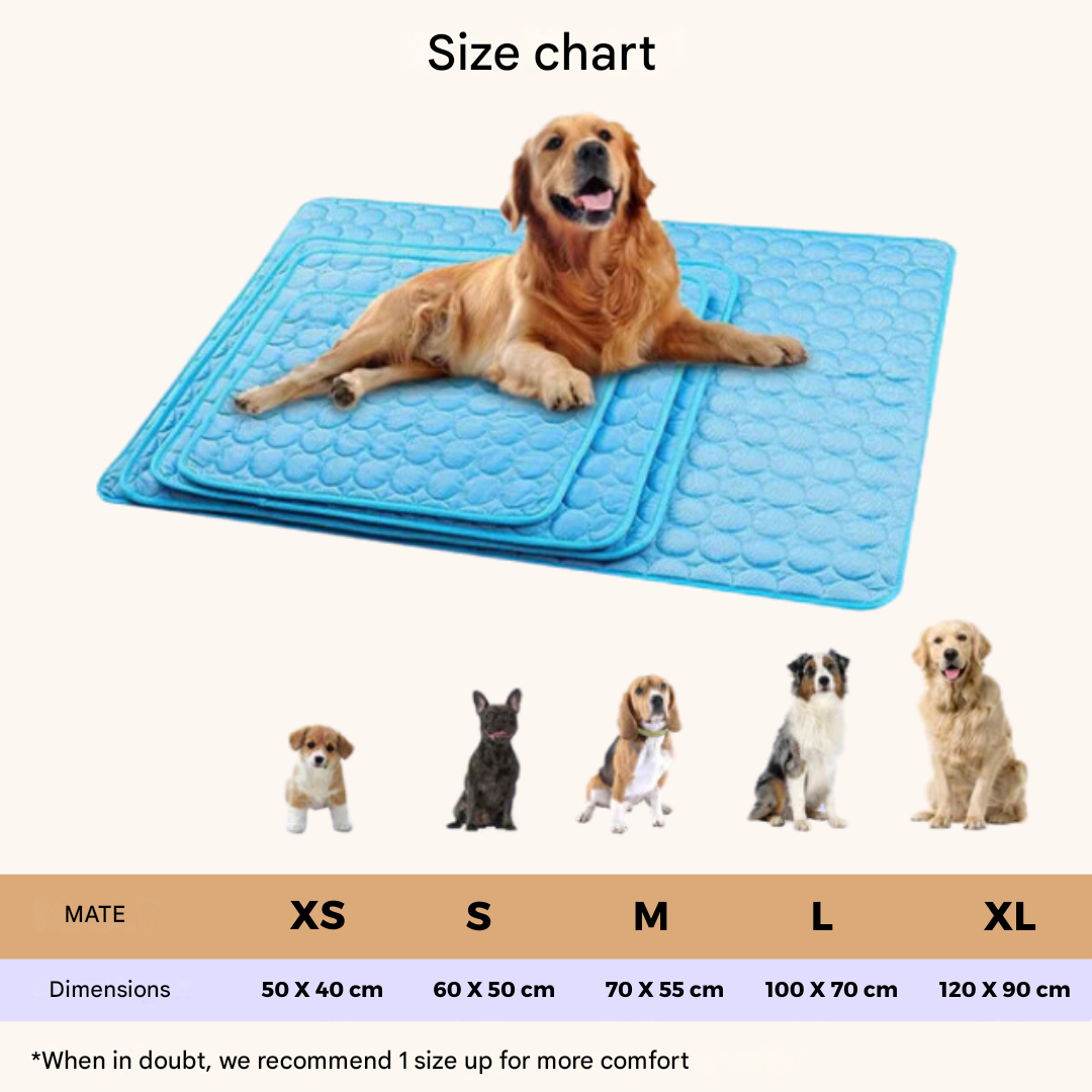 Innovative Cooling Mat for Dogs (4x Cooling Power) - ChillComfort-Light blue-XS-Nora Luxe