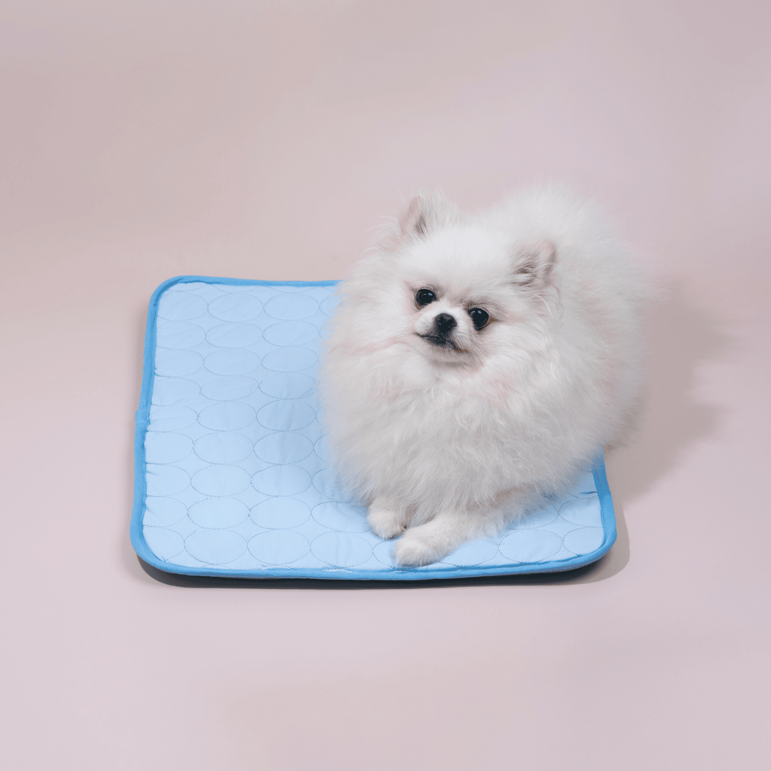 Innovative Cooling Mat for Dogs (4x Cooling Power) - ChillComfort-Light blue-XS-Nora Luxe
