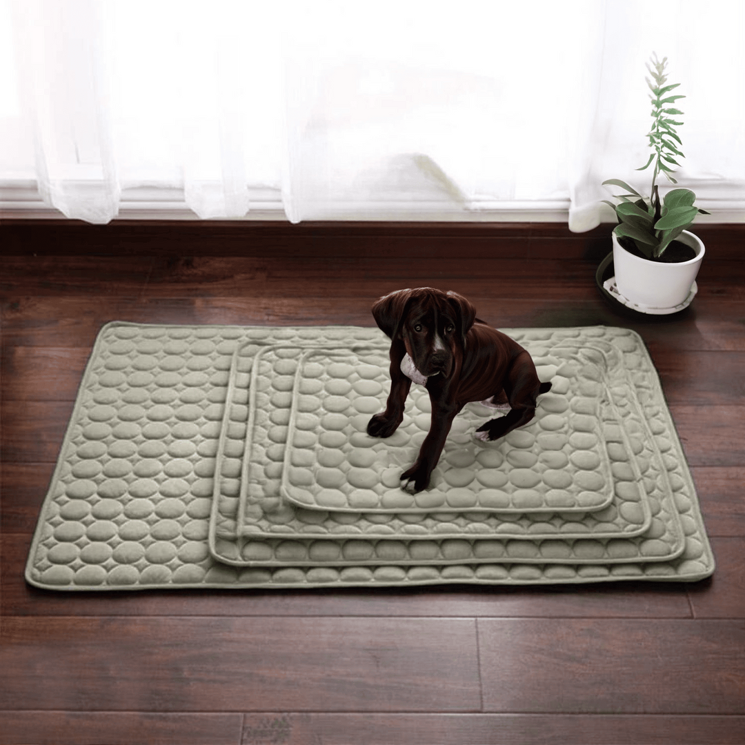 Innovative Cooling Mat for Dogs (4x Cooling Power) - ChillComfort-Light blue-XS-Nora Luxe