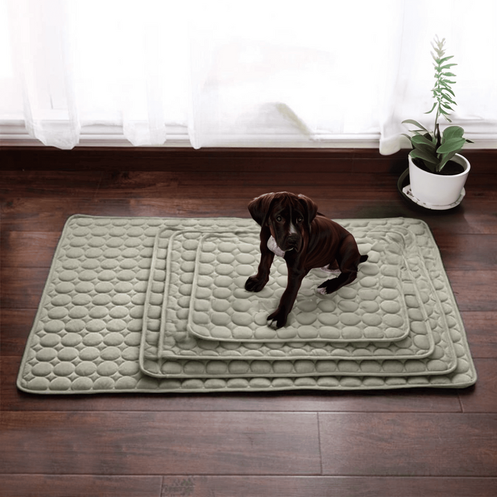 Innovative Cooling Mat for Dogs (4x Cooling Power) - ChillComfort-Light blue-XS-Nora Luxe