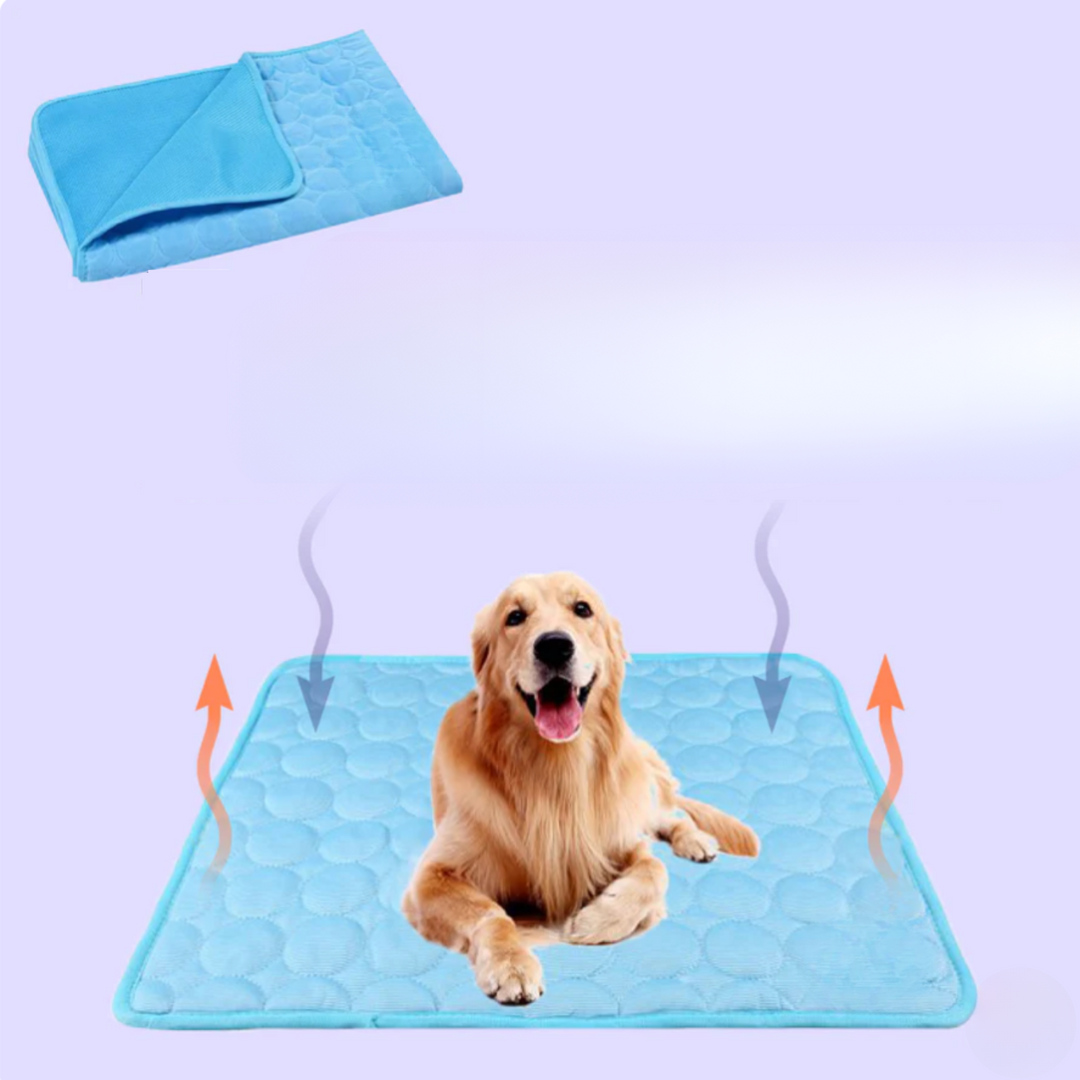 Innovative Cooling Mat for Dogs (4x Cooling Power) - ChillComfort-Light blue-XS-Nora Luxe
