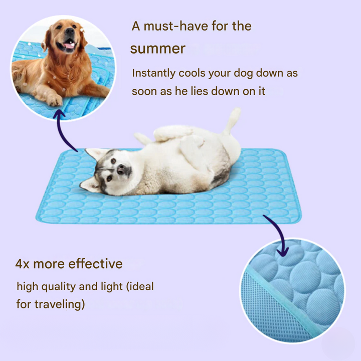 Innovative Cooling Mat for Dogs (4x Cooling Power) - ChillComfort-Light blue-XS-Nora Luxe