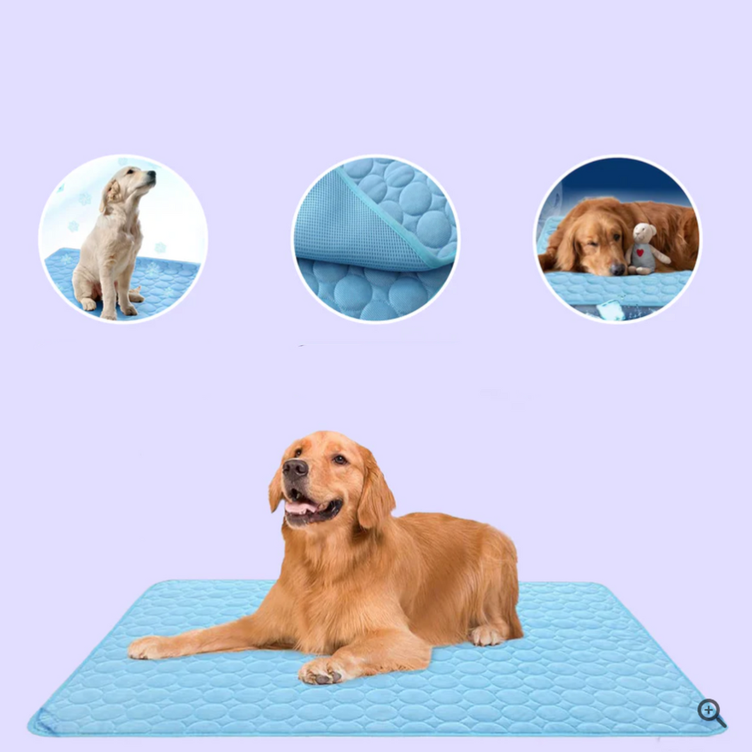 Innovative Cooling Mat for Dogs (4x Cooling Power) - ChillComfort-Light blue-XS-Nora Luxe
