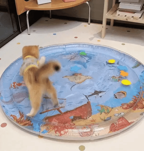 Interactive Cat Play Mat - PurrPulse-Nora Luxe