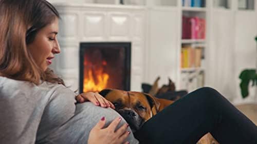 LuxeFit High-Waisted Leggings - Selene-Black-S-Nora Luxe