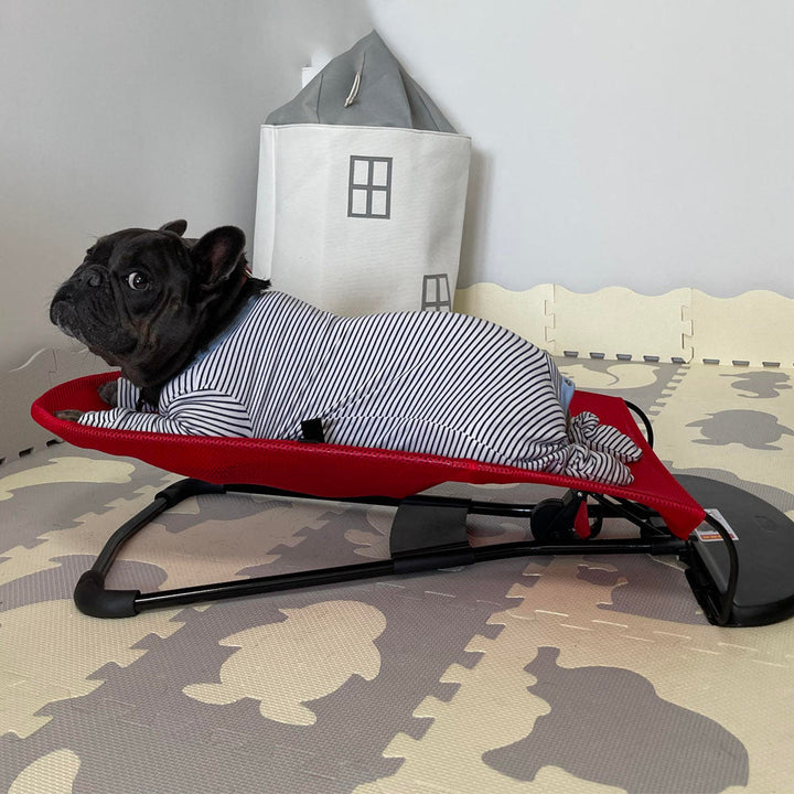 Luxury Dog Rocking Chair - Swingo-Red-Nora Luxe
