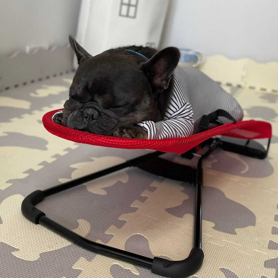 Luxury Dog Rocking Chair - Swingo-Red-Nora Luxe