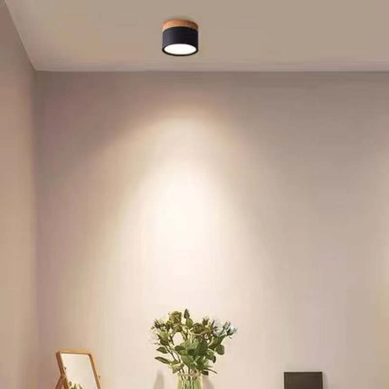 Morandi Style Modern LED Ceiling Lamp - LumiModo-Black-5W-Warm white-Nora Luxe