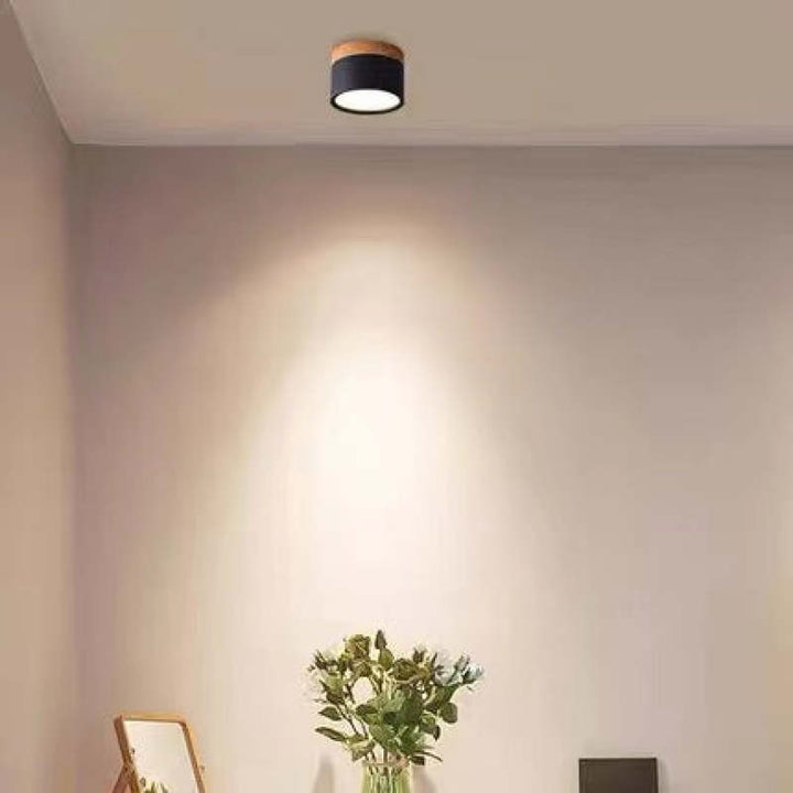 Morandi Style Modern LED Ceiling Lamp - LumiModo-Black-5W-Warm white-Nora Luxe