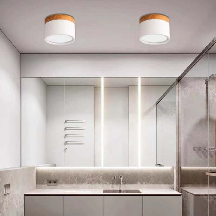 Morandi Style Modern LED Ceiling Lamp - LumiModo-Blue-5W-Warm white-Nora Luxe