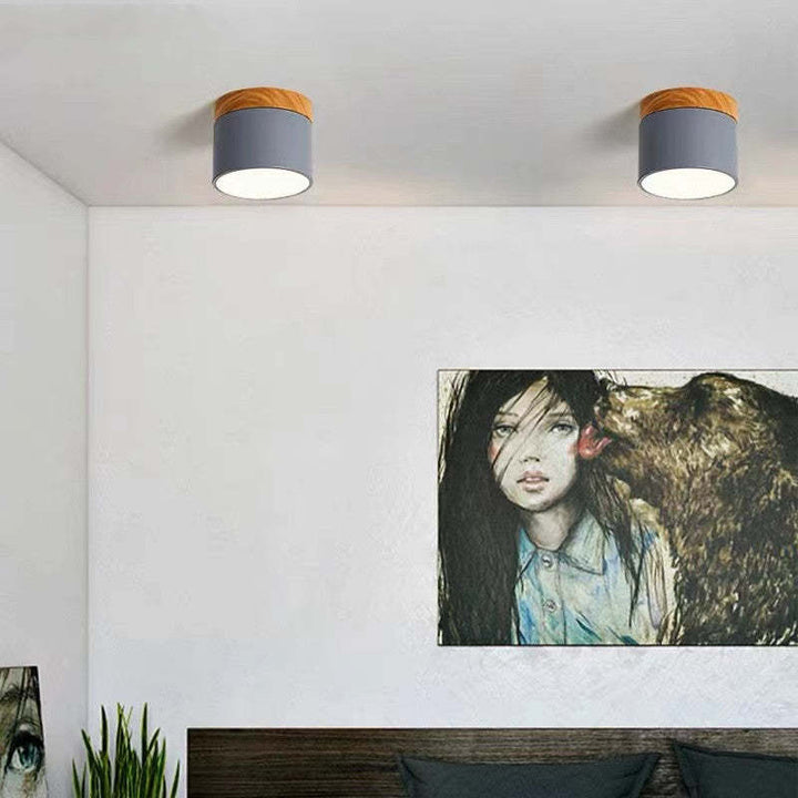 Morandi Style Modern LED Ceiling Lamp - LumiModo-Blue-5W-Warm white-Nora Luxe