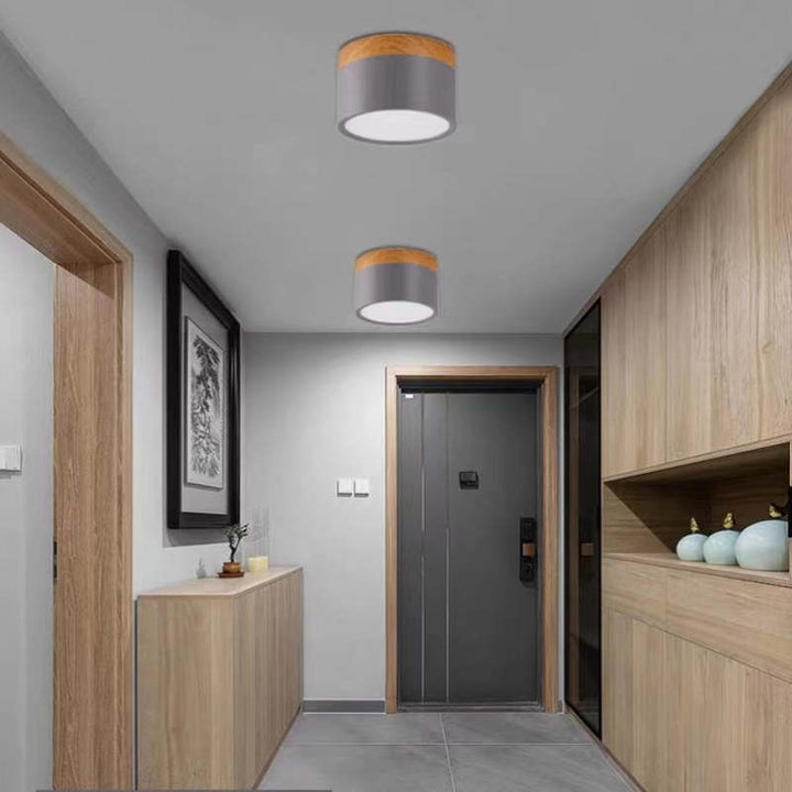 Morandi Style Modern LED Ceiling Lamp - LumiModo-Blue-5W-Warm white-Nora Luxe