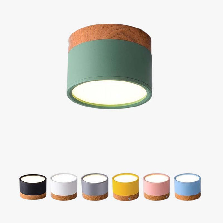 Morandi Style Modern LED Ceiling Lamp - LumiModo-Blue-5W-Warm white-Nora Luxe