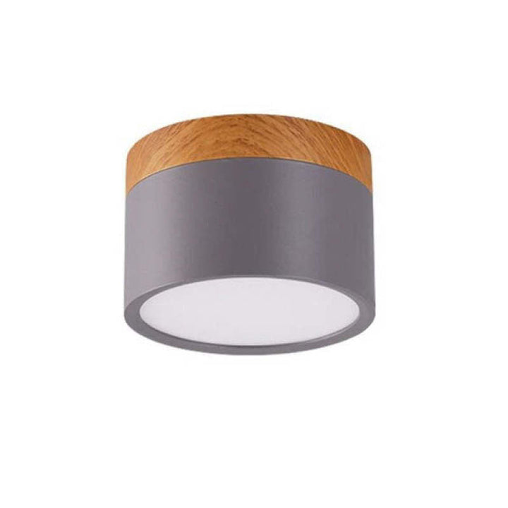Morandi Style Modern LED Ceiling Lamp - LumiModo-Gray-5W-Warm white-Nora Luxe