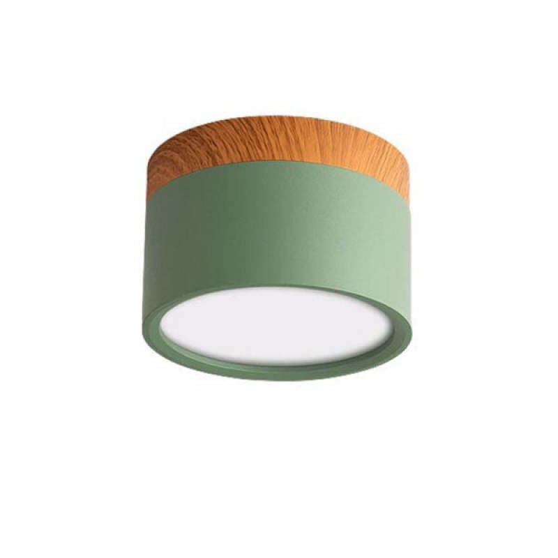 Morandi Style Modern LED Ceiling Lamp - LumiModo-Green-5W-Warm white-Nora Luxe
