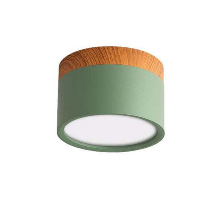 Morandi Style Modern LED Ceiling Lamp - LumiModo-Green-5W-Warm white-Nora Luxe
