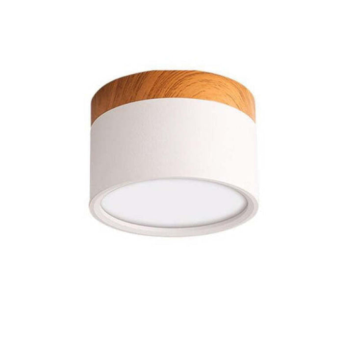 Morandi Style Modern LED Ceiling Lamp - LumiModo-White-5W-Warm white-Nora Luxe