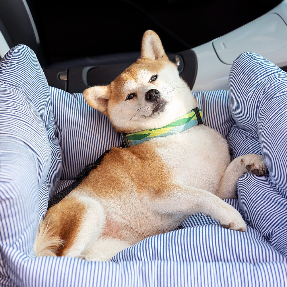 Pet Car Seat - RoadTrip Pet Bolster-Blue Striped-Single-Nora Luxe