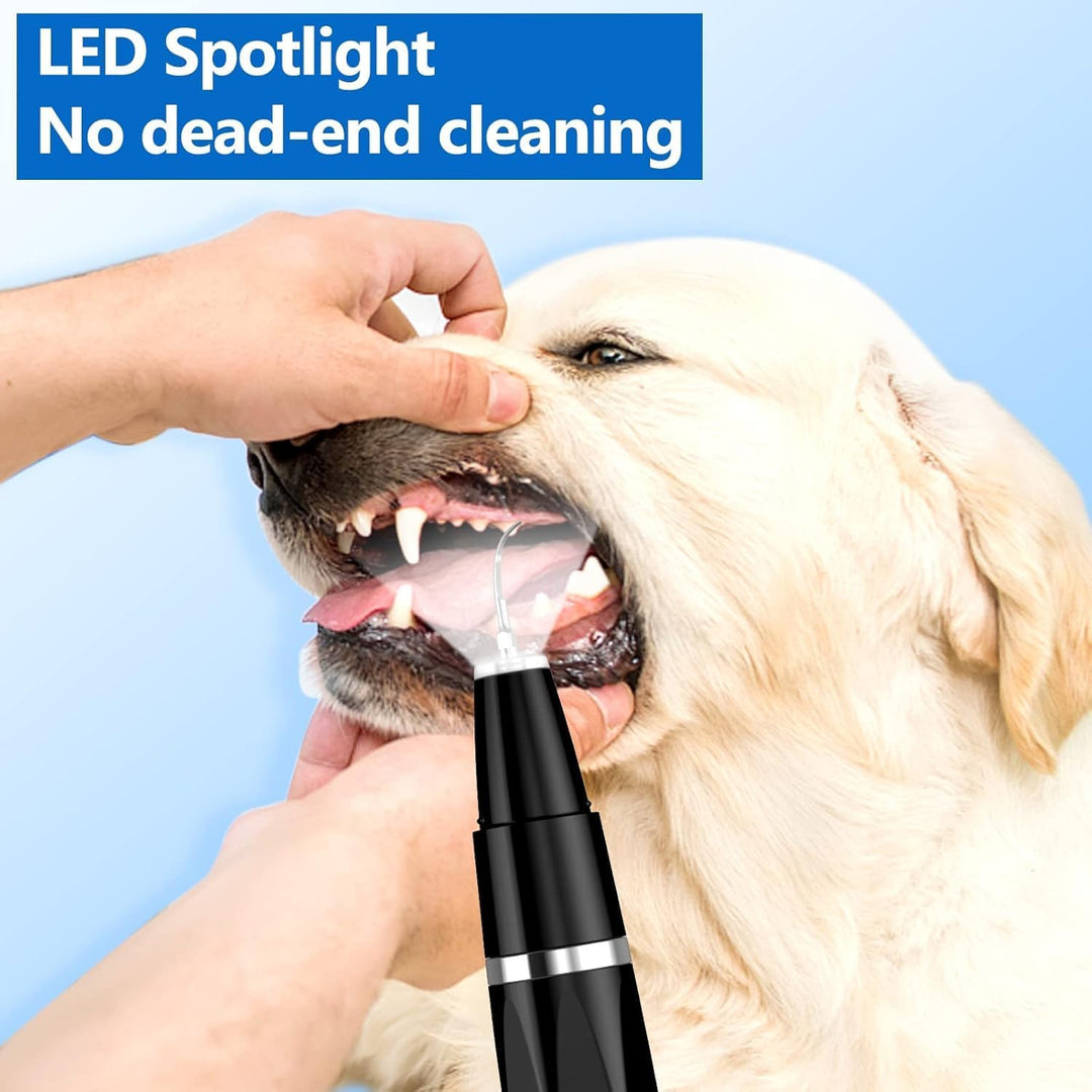 Pet Tartar Remover - Ultrasonic Tooth Cleaner-Black-Nora Luxe