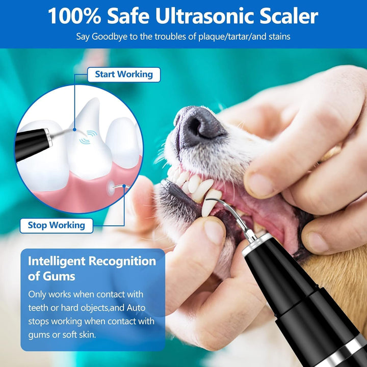 Pet Tartar Remover - Ultrasonic Tooth Cleaner-Black-Nora Luxe