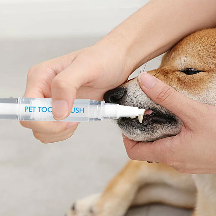Pet Toothbrush Pen - PetSmile-1 piece-Nora Luxe