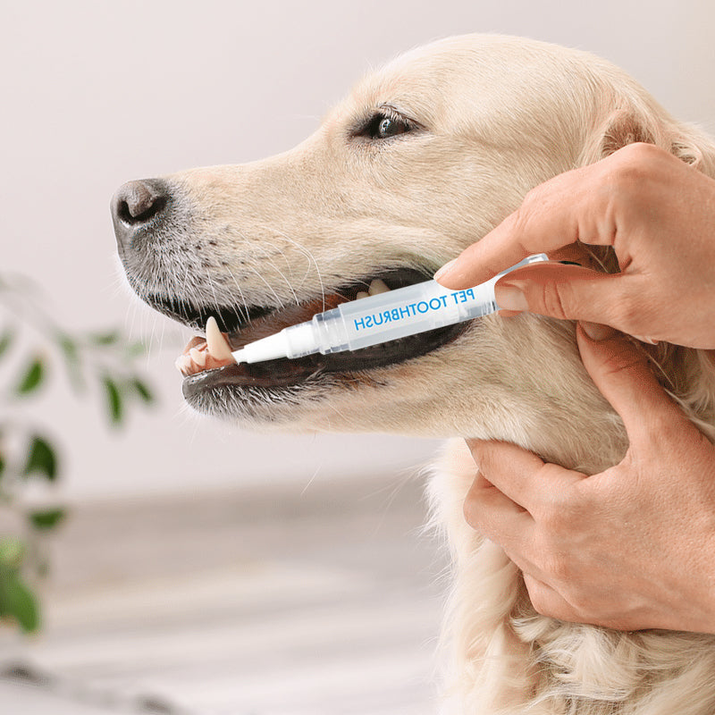 Pet Toothbrush Pen - PetSmile-1 piece-Nora Luxe