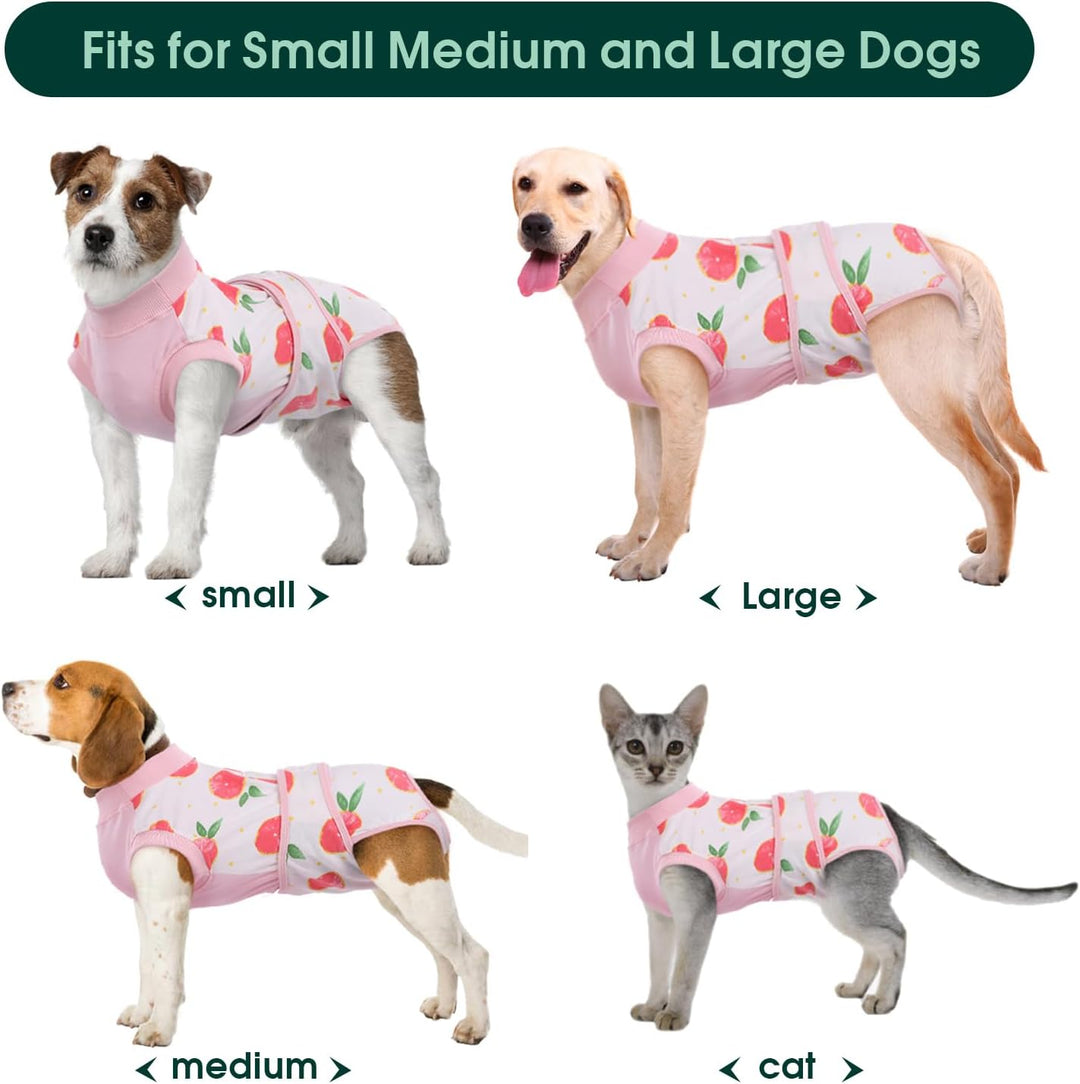 Quick Recovery Suit for Pets – Healing After Surgery-Apples-XS-Nora Luxe